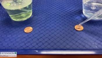 Water Droplet Penny