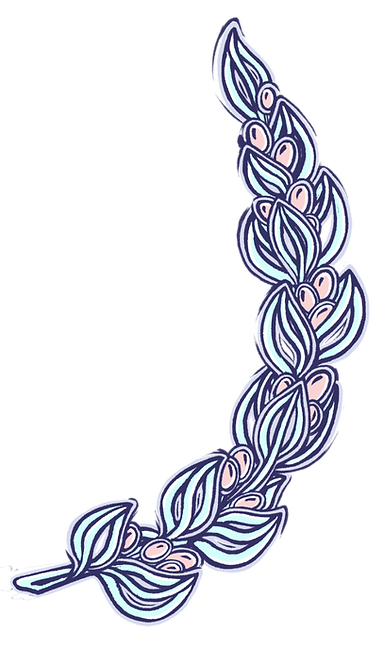 WR_Branches_color_edited.png