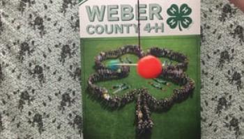 4-H Orbiting Objects