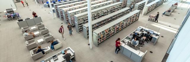 people at the library